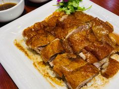 -北海港酒楼 海鲜代加工 粤菜(淡村商贸城店)