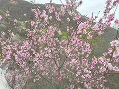 -封龙山风景区