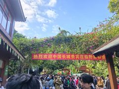 -野象谷景区
