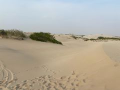 -库伦旗银沙湾旅游景区