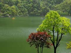 -秦岭终南山世界地质公园翠华山景区