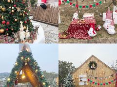 -武汉木兰草原风景区