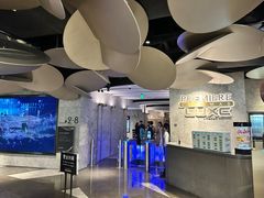 -百美汇影城(LUXE嘉里中心店)