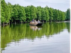 -尚湖风景区
