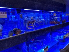 -協成海鮮火鍋(老店)