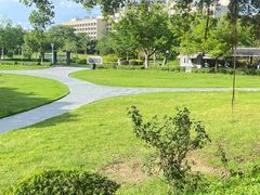 -风云岭森林公园
