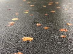 -建国328 本帮小馆·面馆
