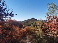 -北京西山国家森林公园