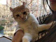 -猫和宫(六道口店)