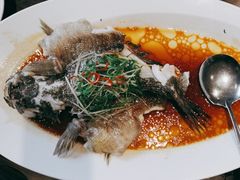 古法蒸笋壳鱼-维园悦谱·海派家常菜(乌鲁木齐南路店)