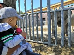 -新疆天山野生动物园