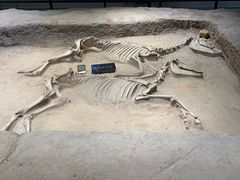 -洛阳周王城天子驾六博物馆