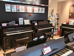 -雅歌音乐培训中心·钢琴培训·乐器培训(交道口店)