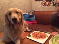 -百好乐宠物友好餐厅(朝外大街店)