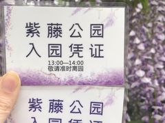 -嘉定紫藤园