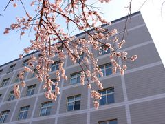 -吉林大学前卫校区南区-日新楼