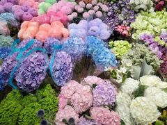 -双季花艺园艺市场(浦东店)