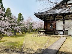 -奈良公园