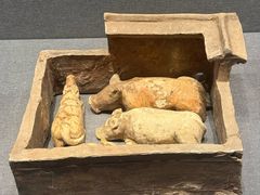 -广西壮族自治区博物馆