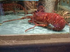 -阿伟海鲜楼·福建菜(延寿店)