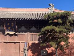 -善化寺