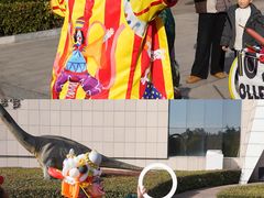 -中国西峡恐龙遗迹园