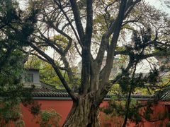 -成都武侯祠博物馆