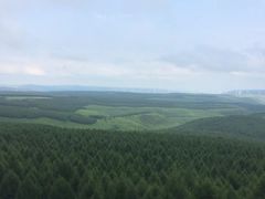 -塞罕坝国家级自然保护区