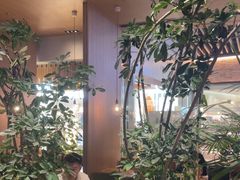 -gaga(深圳福田星河COCO Park店)