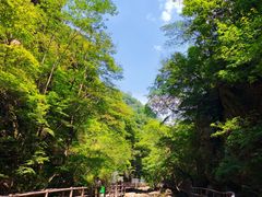 -九龙潭景区