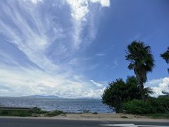 -广东惠东海龟国家级自然保护区