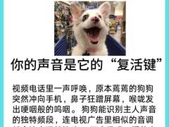 -亚宠动物医院·芭比堂宠物医院(盘龙店)