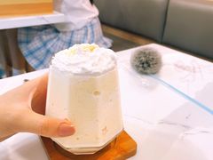 -喵园·猫主题咖啡厅·撸猫·猫咖(国贸店)