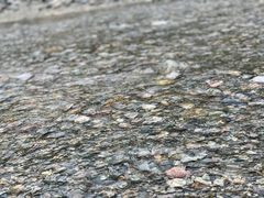 -虹口漂流