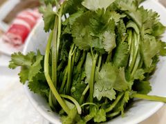 -傣妹火锅(丰庄路店)