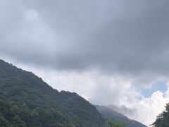 -北仑森林植物园