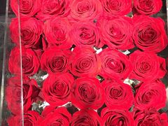 -ROSEONLY诺誓(磐基中心店)