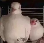 -上海外滩华尔道夫酒店