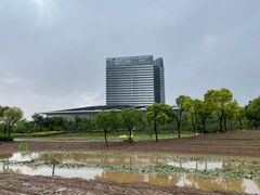 -春花秋色城市公园