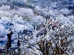 -梵净山旅游区
