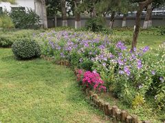 -莲花池公园