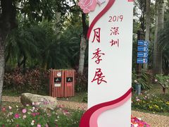 -人民公园(罗湖区)