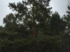 -中国最北一家