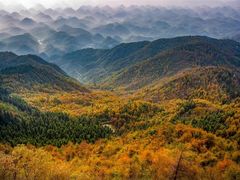 -金子山原生态旅游风景区