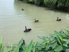 -长兴太湖图影湿地文化园
