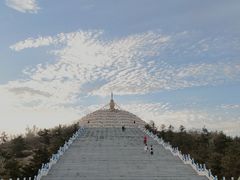 -银肯塔拉沙漠生态旅游景区