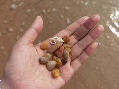 -日照灯塔风景区