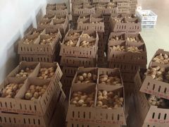 -兴芮温泉度假区