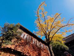 -惠山古镇·寄畅园