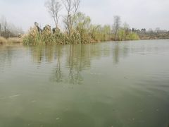 -白鹭湾湿地公园